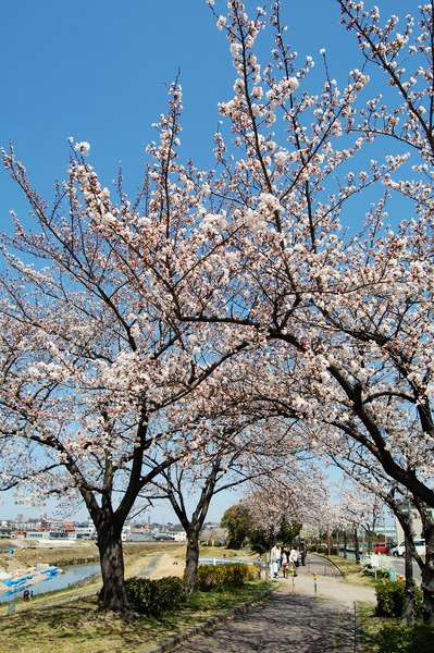 f:id:gzutetsu:20120408130435j:image