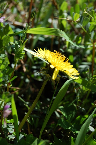 f:id:gzutetsu:20120408131505j:image
