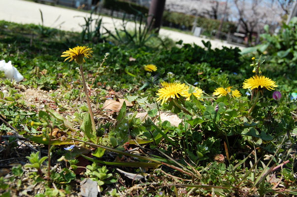 f:id:gzutetsu:20120408131923j:image