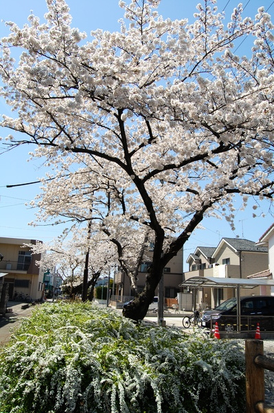 f:id:gzutetsu:20120408132419j:image