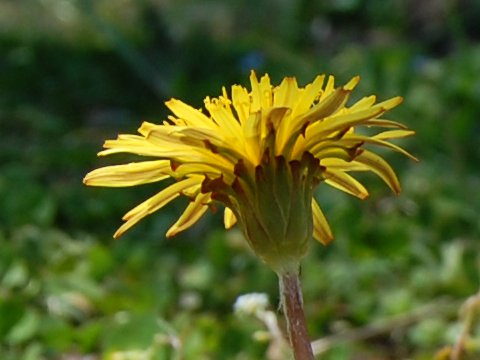f:id:gzutetsu:20120408202704j:image