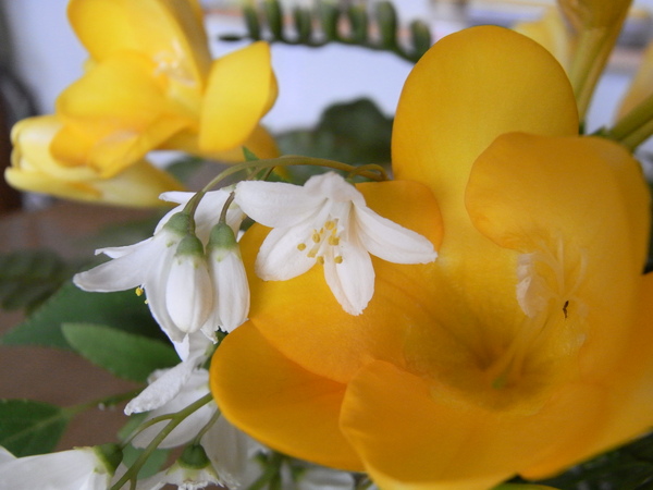 f:id:gzutetsu:20120429092434j:image