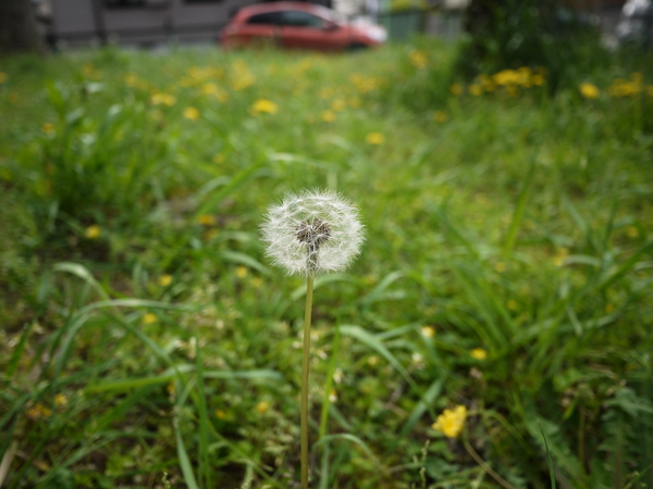 f:id:gzutetsu:20120429144216j:image f:id:gzutetsu:20120429144216j:image