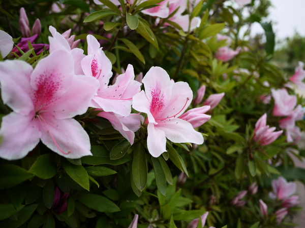 f:id:gzutetsu:20120429144357j:image f:id:gzutetsu:20120429144357j:image