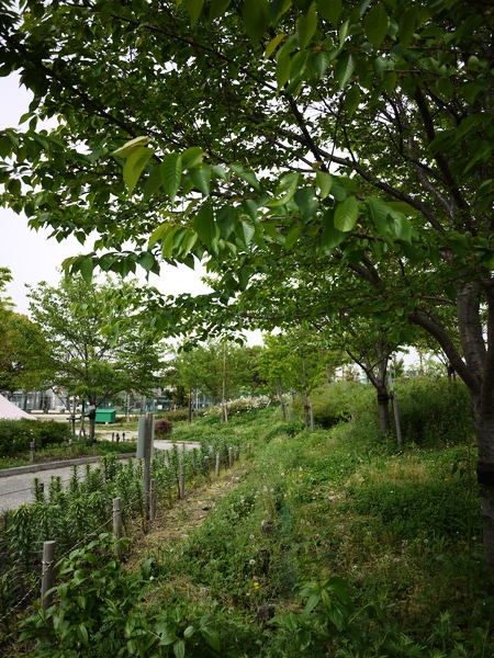 f:id:gzutetsu:20120429144610j:image f:id:gzutetsu:20120429144610j:image