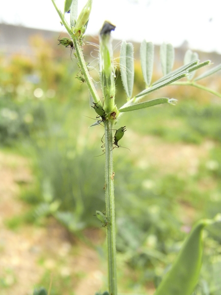 f:id:gzutetsu:20120429144835j:image f:id:gzutetsu:20120429144835j:image
