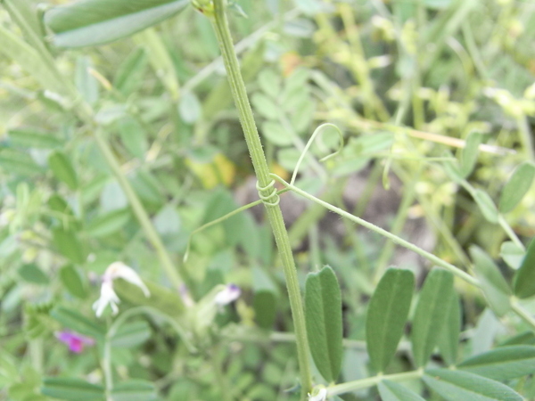 f:id:gzutetsu:20120429145124j:image f:id:gzutetsu:20120429145124j:image