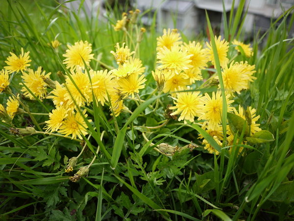 f:id:gzutetsu:20120429150640j:image f:id:gzutetsu:20120429150640j:image