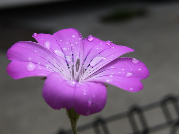 f:id:gzutetsu:20120503091841j:image f:id:gzutetsu:20120503091841j:image
