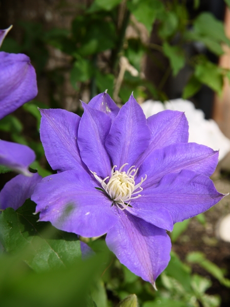 f:id:gzutetsu:20120503092132j:image f:id:gzutetsu:20120503092132j:image