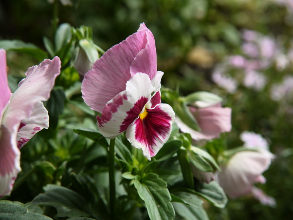 f:id:gzutetsu:20120503092318j:image f:id:gzutetsu:20120503092318j:image