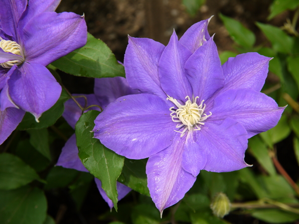 f:id:gzutetsu:20120503092416j:image f:id:gzutetsu:20120503092416j:image