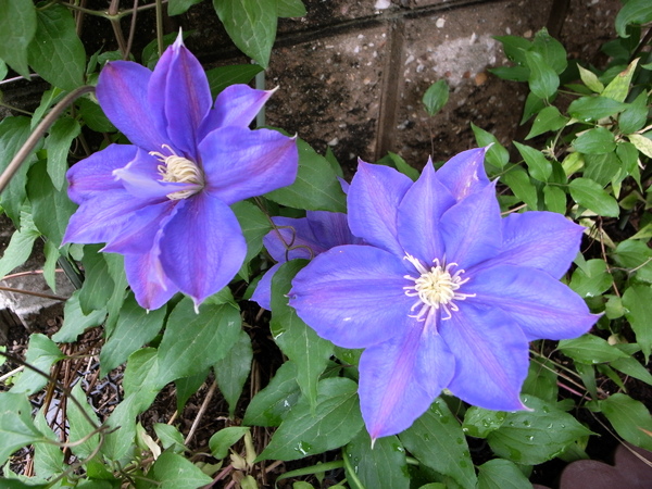 f:id:gzutetsu:20120503094402j:image