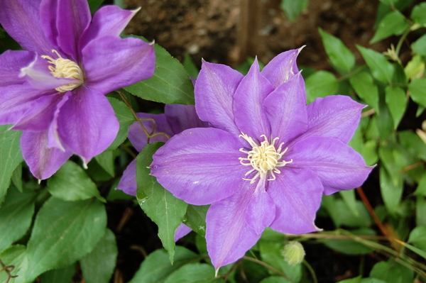 f:id:gzutetsu:20120503094756j:image