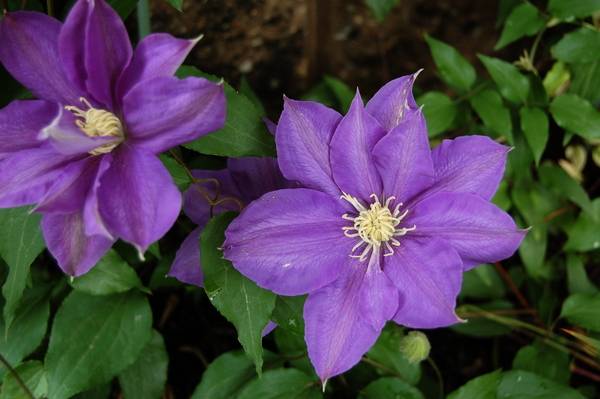 f:id:gzutetsu:20120503094831j:image