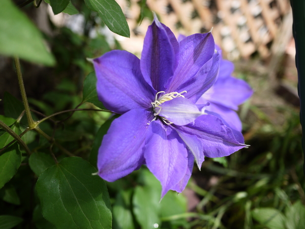 f:id:gzutetsu:20120503101339j:image f:id:gzutetsu:20120503101339j:image