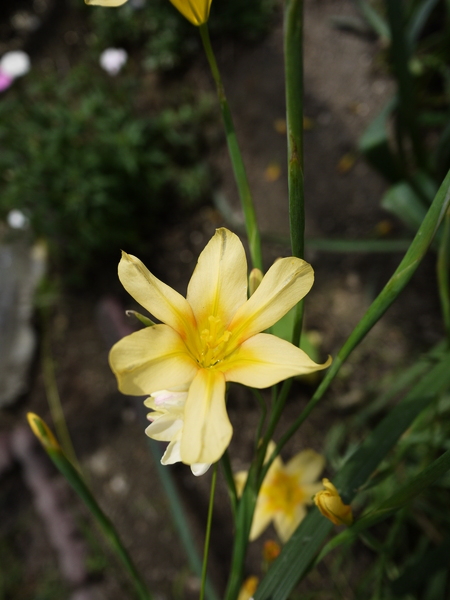 f:id:gzutetsu:20120503101351j:image f:id:gzutetsu:20120503101351j:image