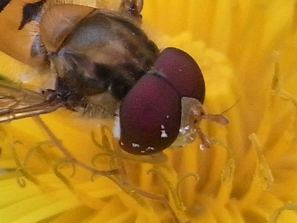 f:id:gzutetsu:20120504104933j:image