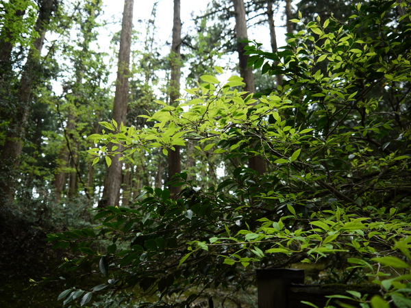 f:id:gzutetsu:20120505134856j:image