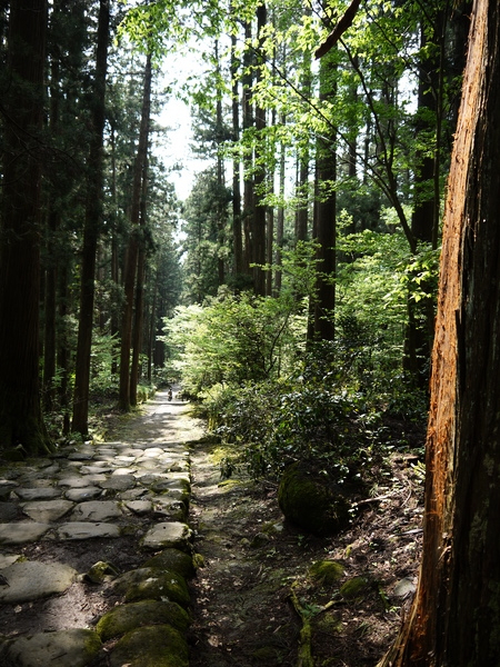 f:id:gzutetsu:20120505141704j:image