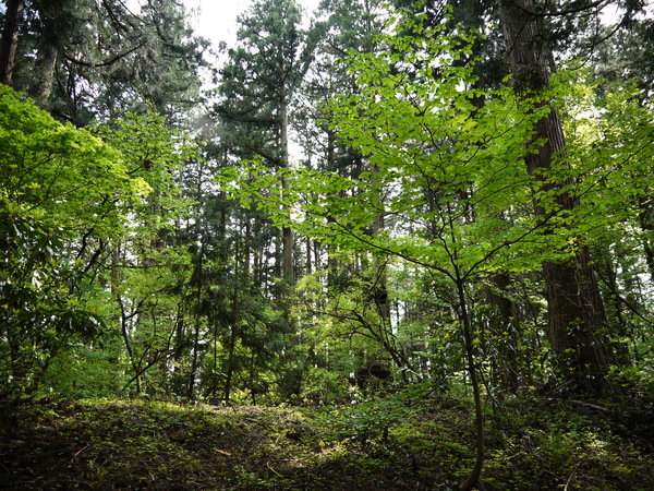 f:id:gzutetsu:20120505142759j:image
