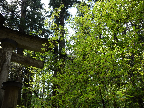 f:id:gzutetsu:20120505142834j:image