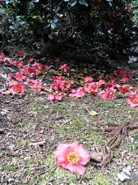 f:id:gzutetsu:20120505143114j:image