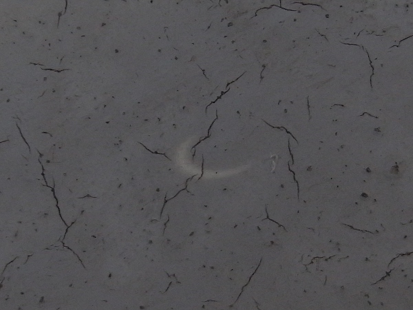 f:id:gzutetsu:20120521074042j:image
