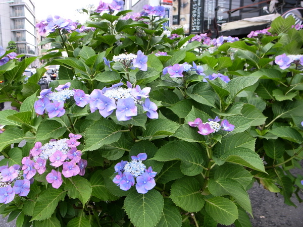 f:id:gzutetsu:20120622162028j:image