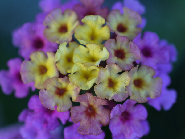 f:id:gzutetsu:20120805160516j:image