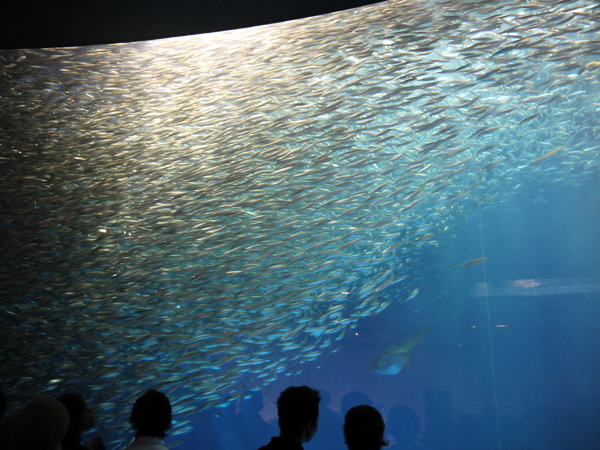 f:id:gzutetsu:20120812111838j:image