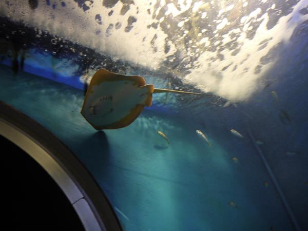 f:id:gzutetsu:20120812111939j:image
