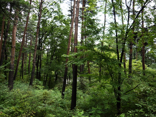 f:id:gzutetsu:20120814114856j:image