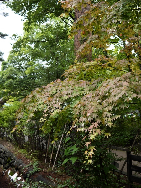 f:id:gzutetsu:20120814115247j:image