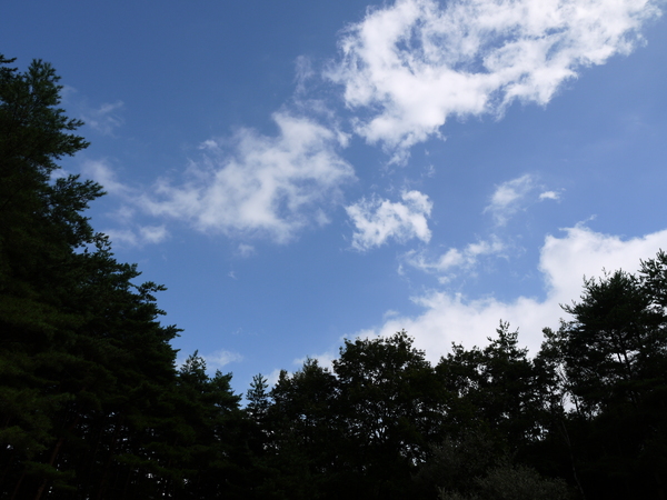 f:id:gzutetsu:20120814145451j:image