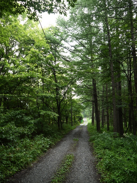 f:id:gzutetsu:20120815080634j:image