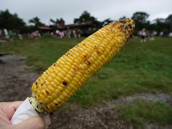 f:id:gzutetsu:20120815113216j:image