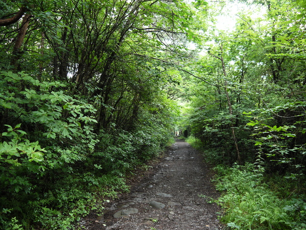 f:id:gzutetsu:20120815125904j:image