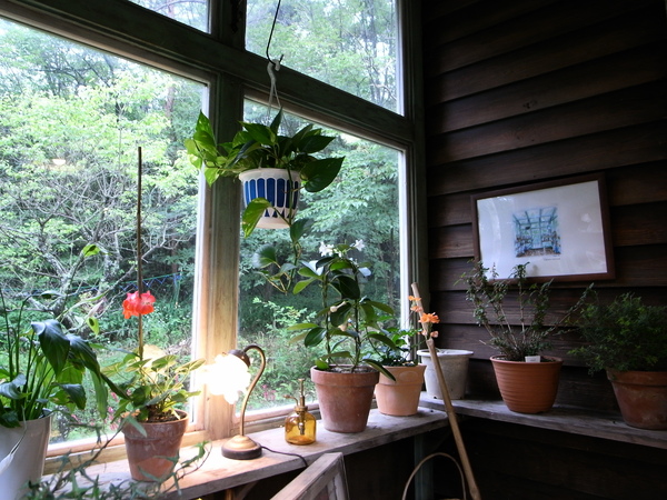 f:id:gzutetsu:20120815130422j:image