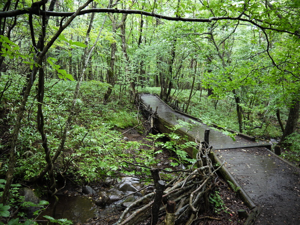 f:id:gzutetsu:20120815140037j:image