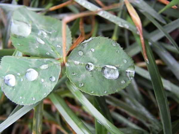 f:id:gzutetsu:20120815143458j:image