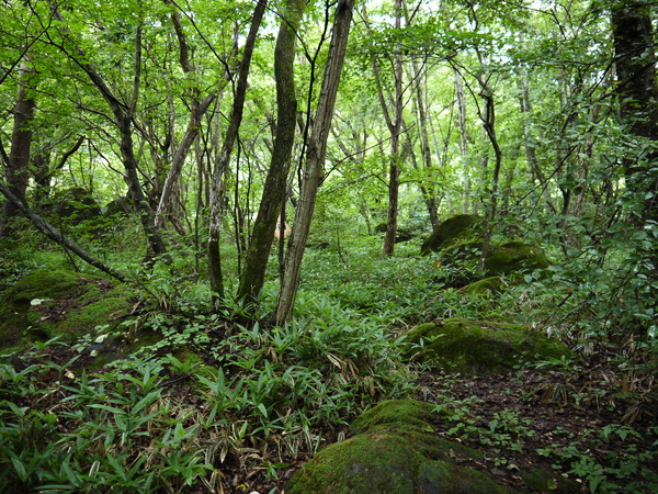 f:id:gzutetsu:20120815152234j:image