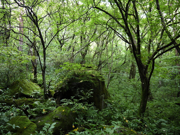 f:id:gzutetsu:20120815152642j:image