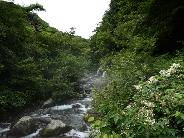 f:id:gzutetsu:20120815153121j:image