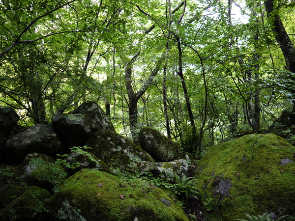 f:id:gzutetsu:20120815153221j:image