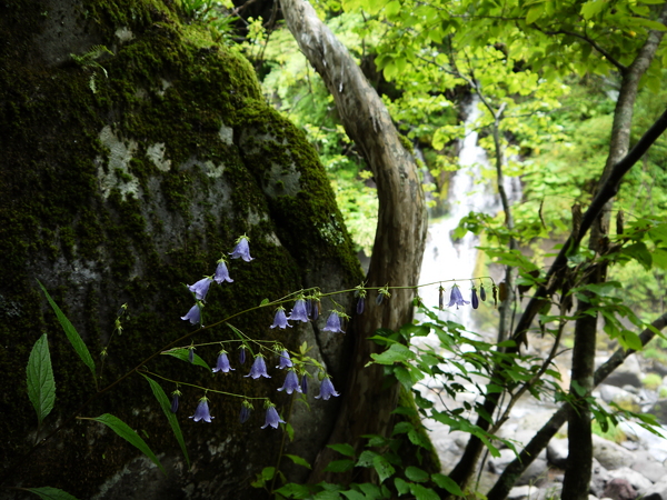 f:id:gzutetsu:20120815153319j:image