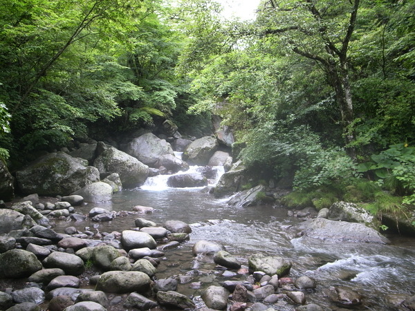 f:id:gzutetsu:20120815154003j:image