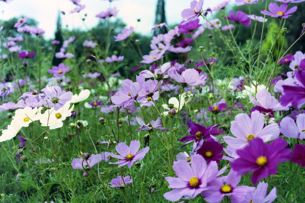 f:id:gzutetsu:20120819085427j:image
