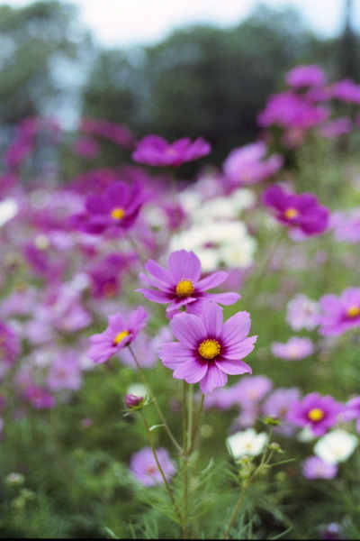 f:id:gzutetsu:20120819085443j:image