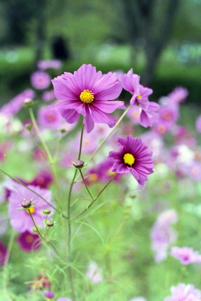 f:id:gzutetsu:20120819085459j:image